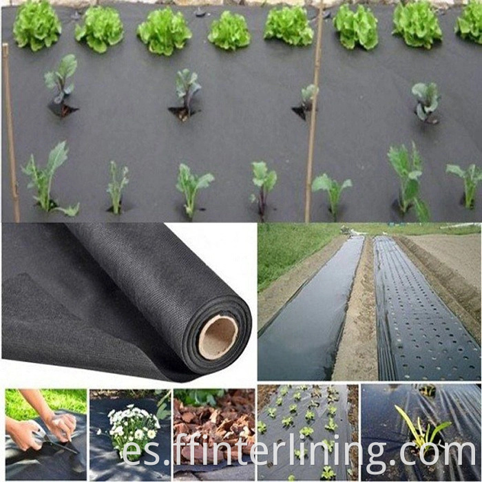 Frost Fleece para cubrir las plantas Absorción de agua Mantener caliente